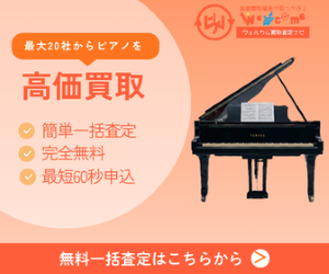 ウェルカム買取査定ナビ